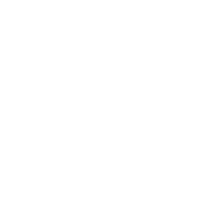 Twin10G Thunderbolt Adapter front panel icon.